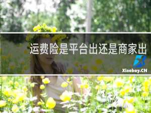 运费险是平台出还是商家出