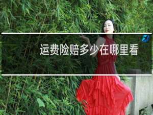 运费险赔多少在哪里看