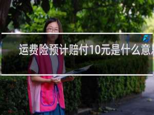 运费险预计赔付10元是什么意思