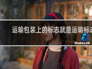 运输包装上的标志就是运输标志