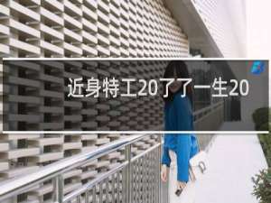 近身特工 了了一生 小说