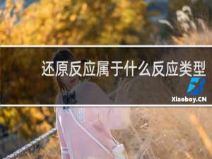 还原反应属于什么反应类型