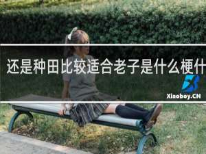 还是种田比较适合老子是什么梗什么梗