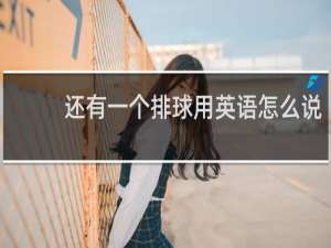 还有一个排球用英语怎么说