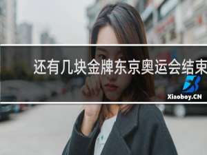 还有几块金牌东京奥运会结束