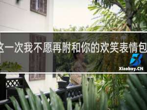这一次我不愿再附和你的欢笑表情包什么梗