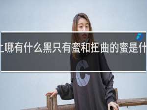 这世上哪有什么黑只有蜜和扭曲的蜜是什么梗什么梗
