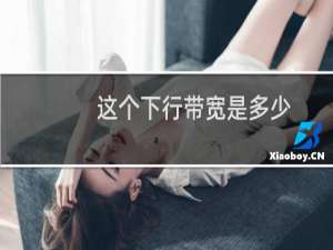 这个下行带宽是多少？-云服务器问题