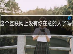 这个互联网上没有你在意的人了吗什么梗