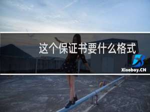 这个保证书要什么格式呀-备案平台