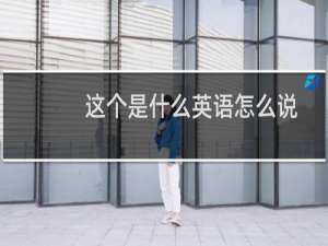 这个是什么英语怎么说