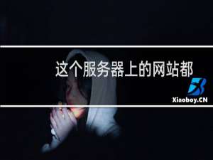 这个服务器上的网站都上不去了