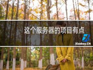 这个服务器的项目有点奇怪