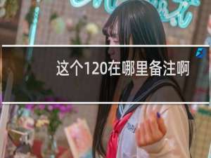 这个1 在哪里备注啊-域名及账户问题