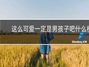 这么可爱一定是男孩子吧什么梗