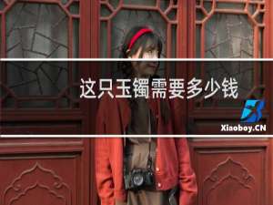 这只玉镯需要多少钱