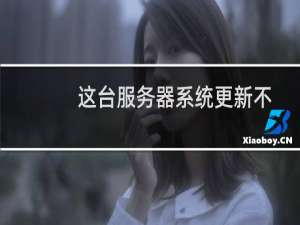 这台服务器系统更新不了补丁