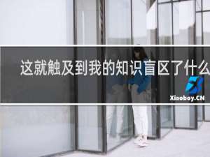 这就触及到我的知识盲区了什么梗