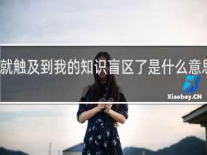 这就触及到我的知识盲区了是什么意思什么梗