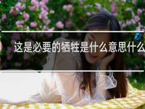 这是必要的牺牲是什么意思什么梗