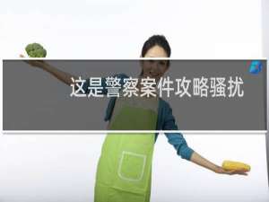 这是警察案件攻略骚扰
