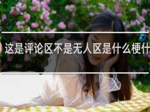 这是评论区不是无人区是什么梗什么梗