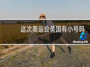 这次奥运会美国有小号吗