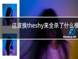 这波换theshy来全杀了什么梗