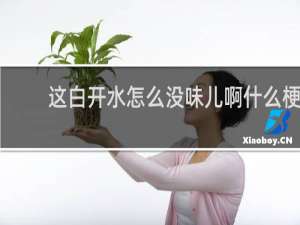 这白开水怎么没味儿啊什么梗