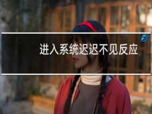 进入系统迟迟不见反应怎么办