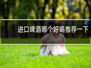 进口啤酒哪个好喝推荐一下