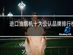 进口油烟机十大公认品牌排行榜