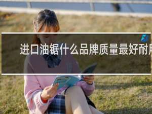 进口油锯什么品牌质量最好耐用
