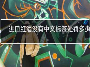 进口红酒没有中文标签处罚多少钱