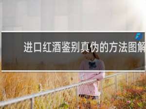 进口红酒鉴别真伪的方法图解
