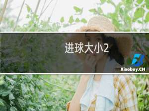 进球大小2.5/3是什么意思