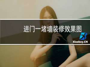 进门一堵墙装修效果图