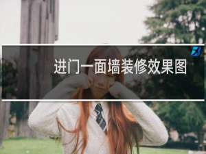 进门一面墙装修效果图