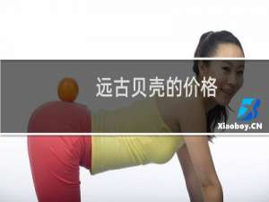 远古贝壳的价格
