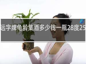 远字牌龟龄集酒多少钱一瓶28度250毫升