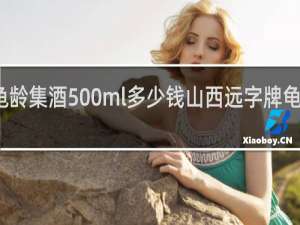远字牌龟龄集酒500ml多少钱山西远字牌龟龄集酒多少钱