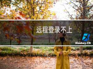 远程登录不上，网站打不开