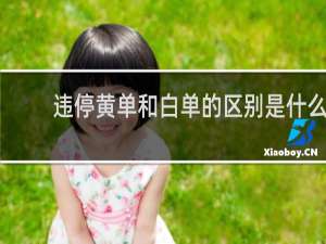 违停黄单和白单的区别是什么