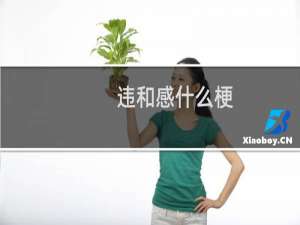 违和感什么梗？违和感是什么意思什么梗