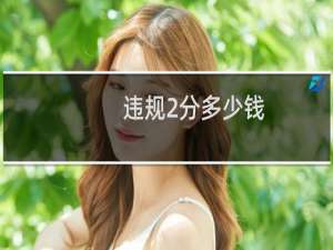 违规2分多少钱