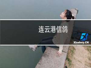 连云港信鸽