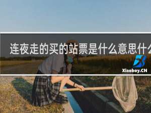 连夜走的买的站票是什么意思什么梗