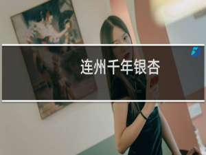 连州千年银杏