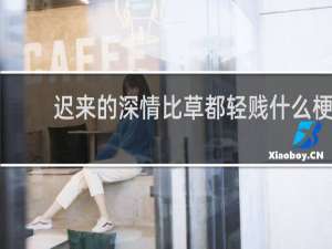 迟来的深情比草都轻贱什么梗