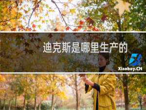 迪克斯是哪里生产的（迪克斯是哪里的牌子）